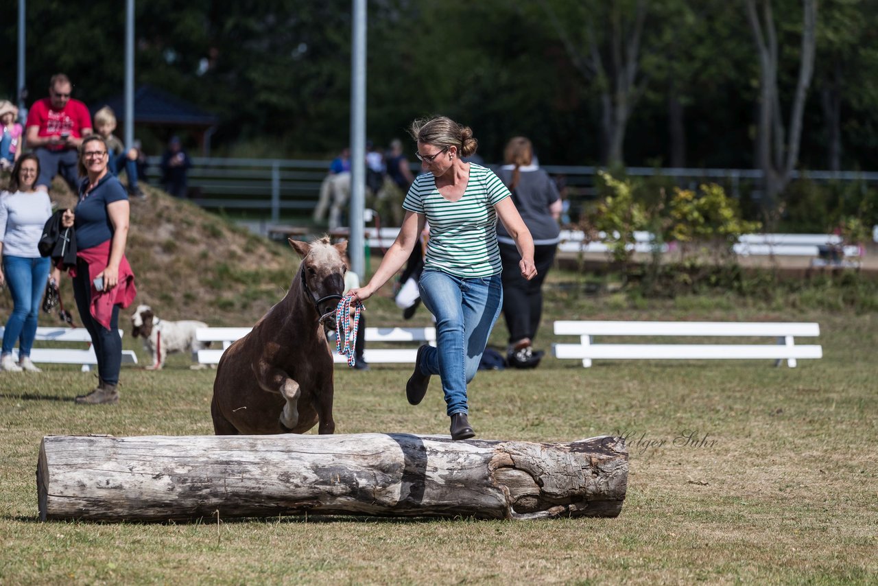 Bild 9 - Pony Akademie Turnier